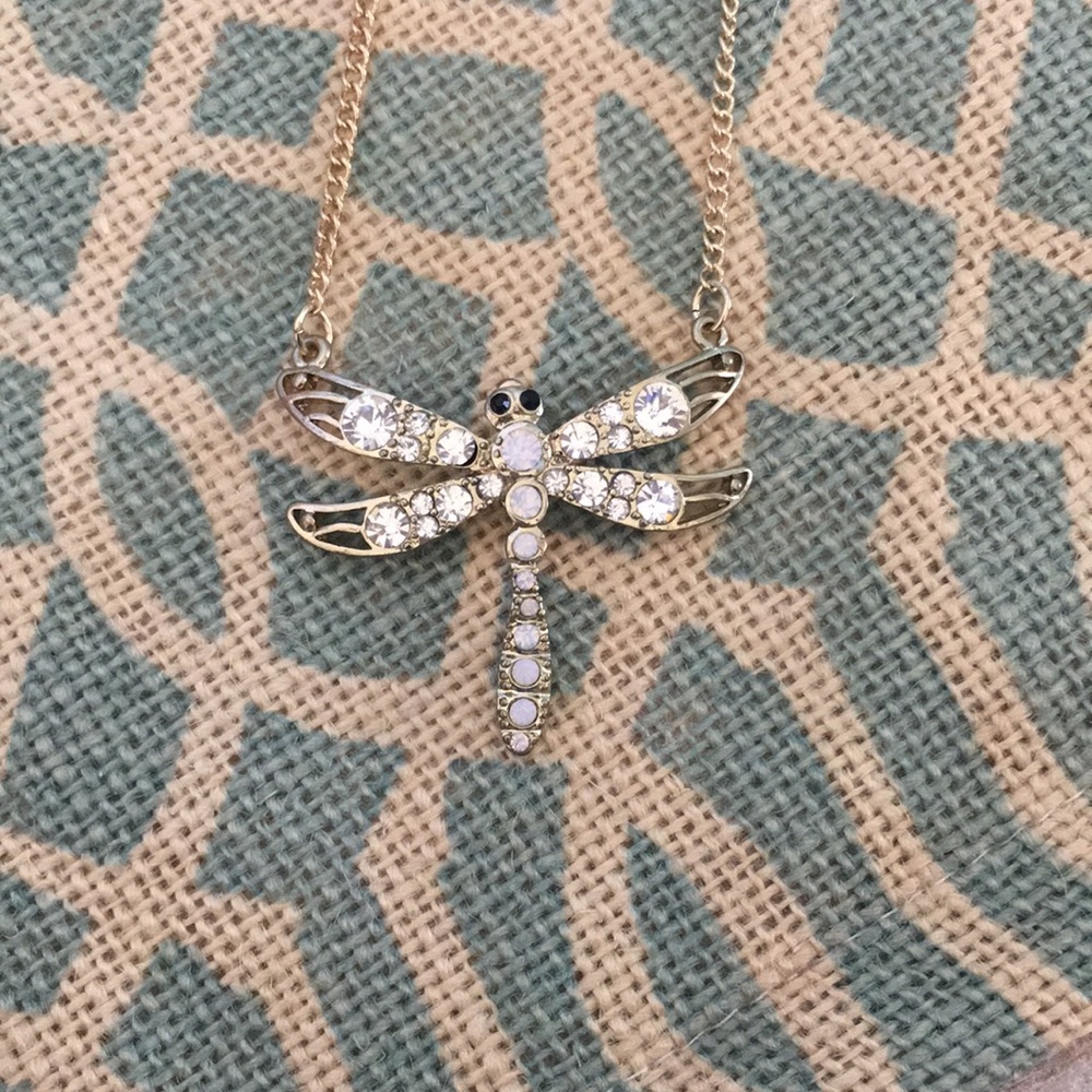 Charming Charlie Dragonfly Necklace